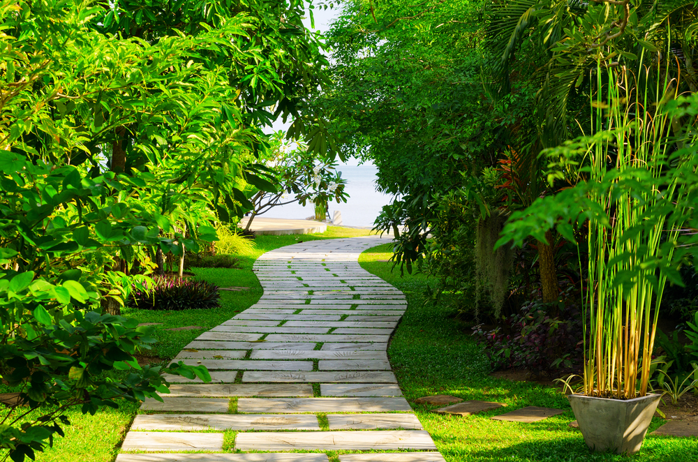 Walkway in backyard