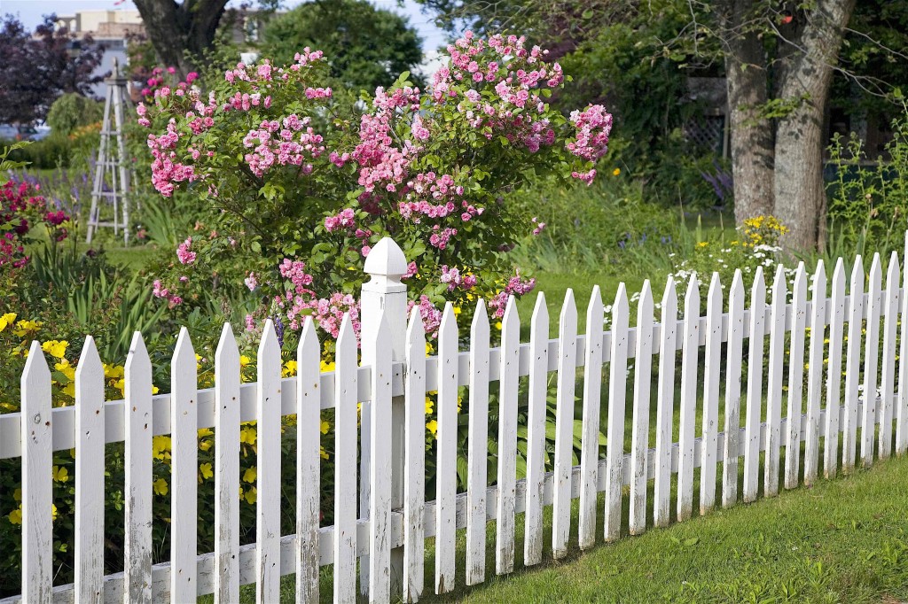 Replace fences & gates