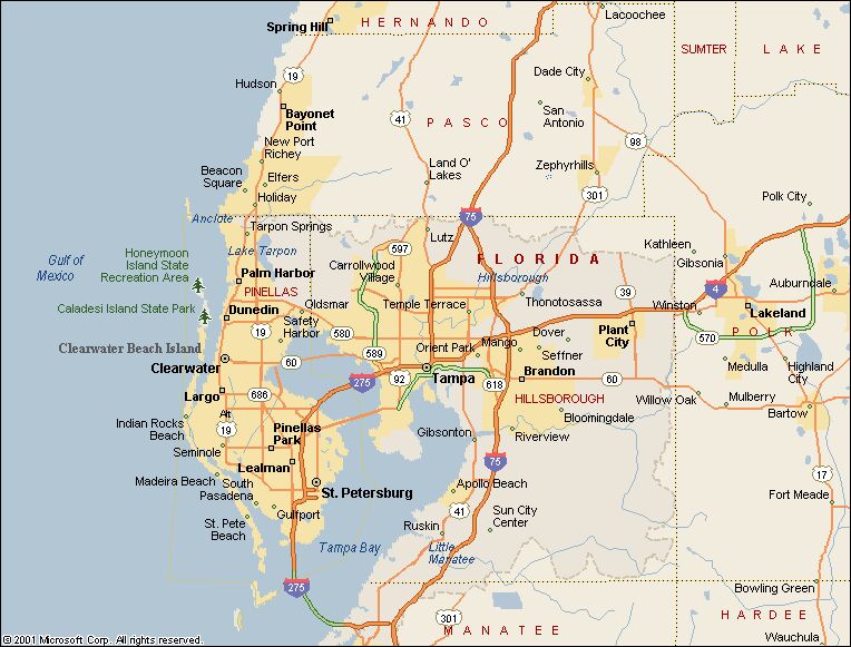 Tampa Real Estate and Market Trends Tampa Real Estate and Market Trends