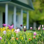 Sell your home this spring