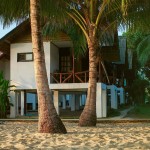 beach house with palm trees