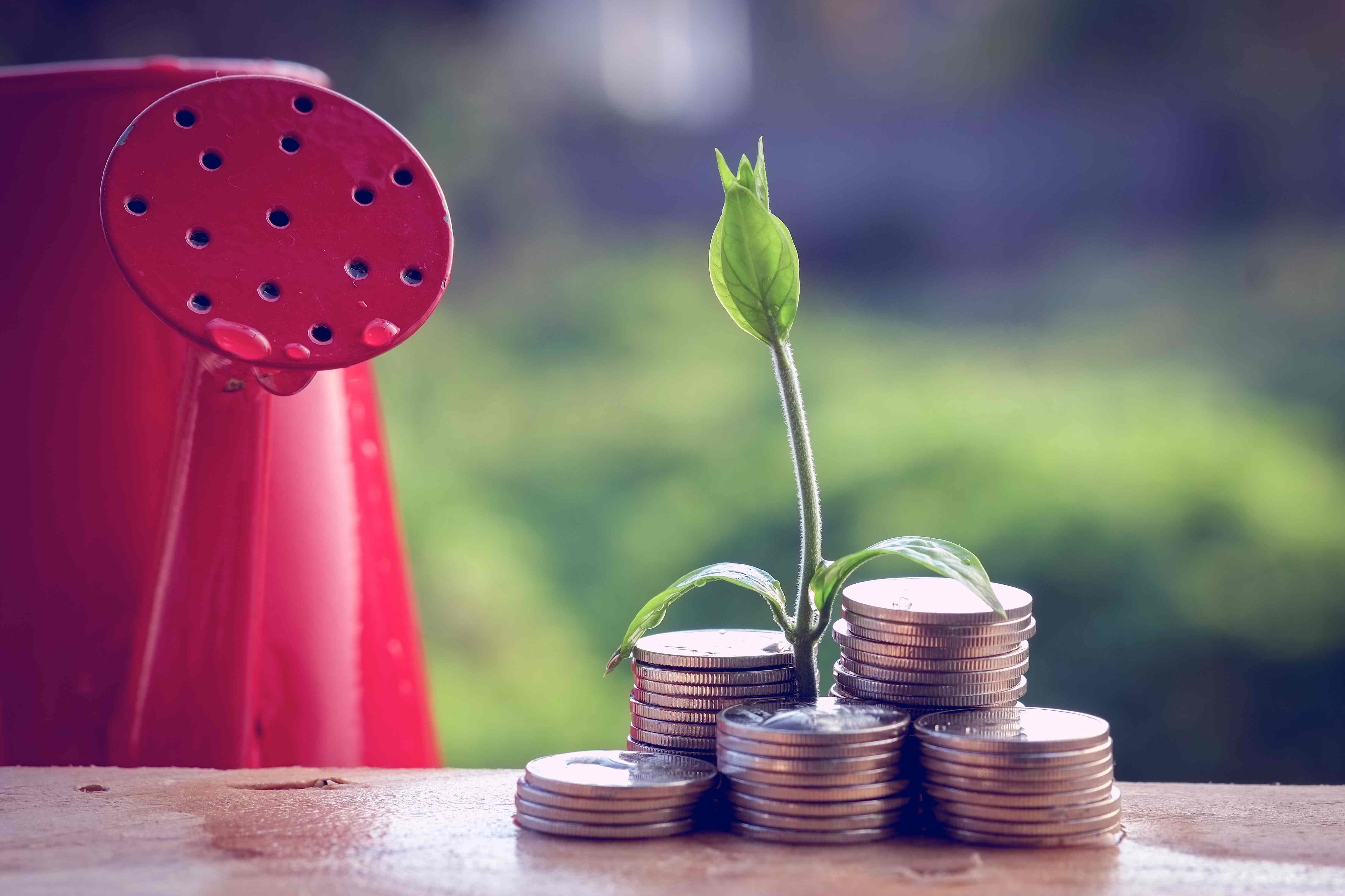 value of small business branding