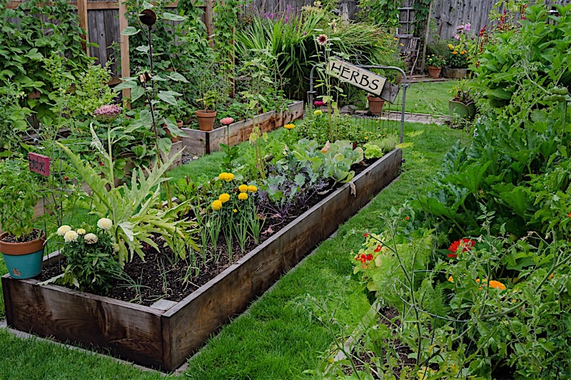 Gardening trends