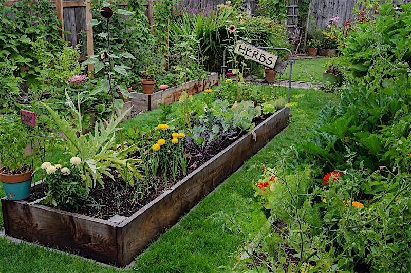 Gardening trends