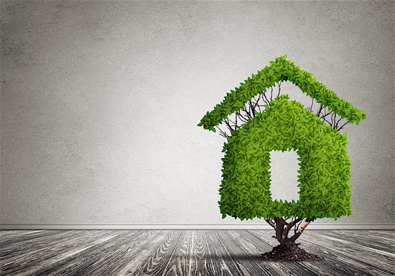 A Green Real Estate Investor In 7 Days