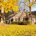 fall real estate season