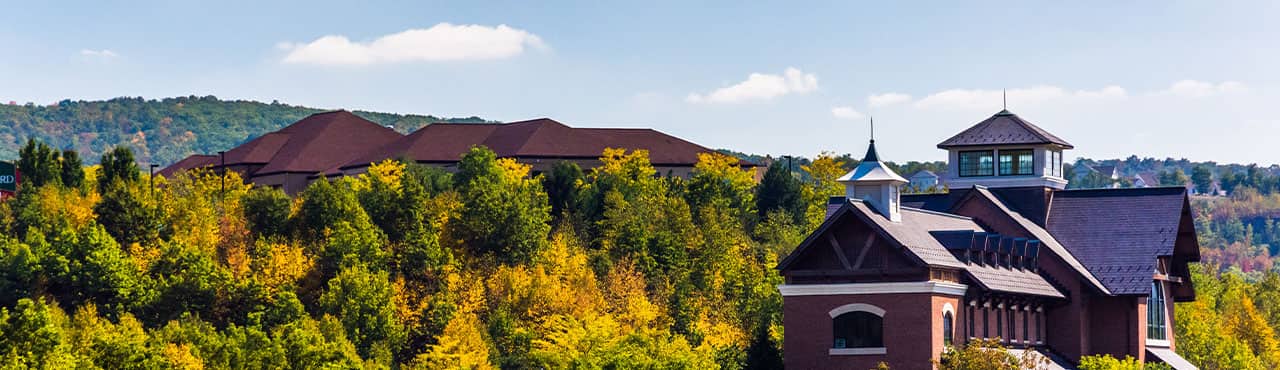 Scranton Real Estate Market Trends For 2019 Fortunebuilders