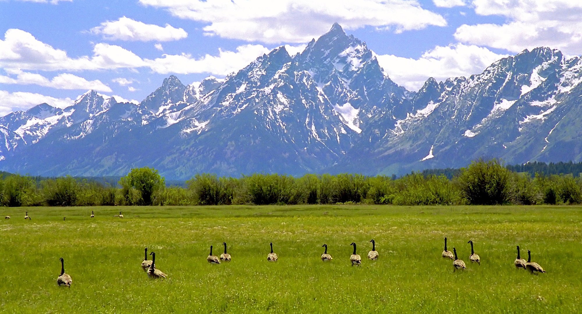 Wyoming FortuneBuilders