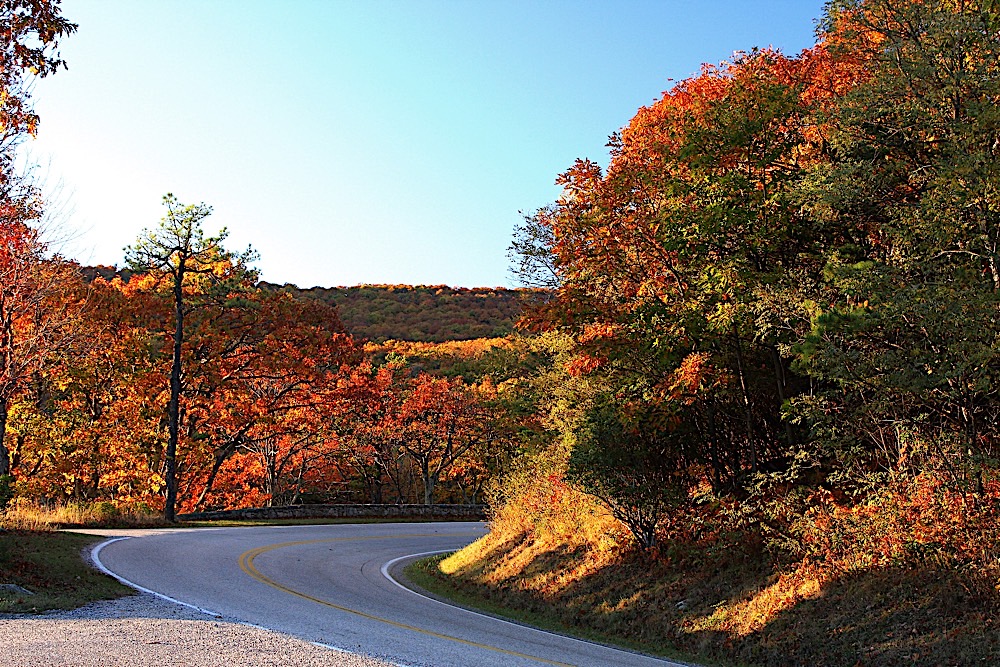 Best states to retire for taxes