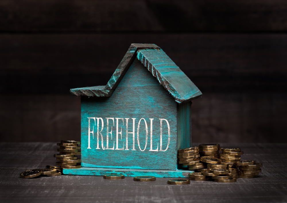 freehold estate definition