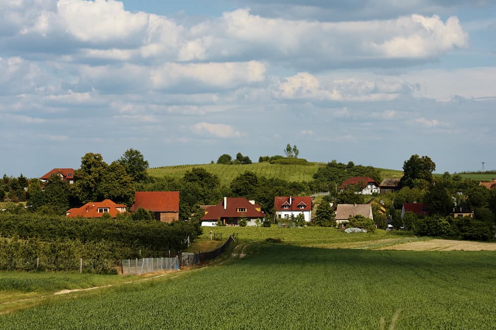 Rural vs suburban