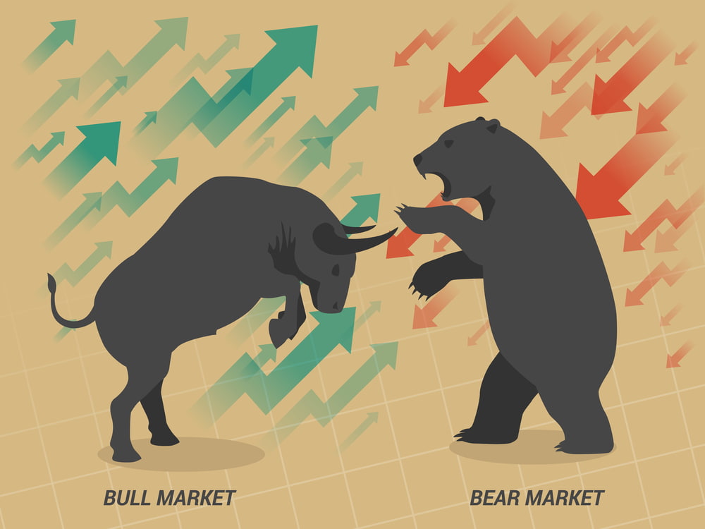 bull and bear