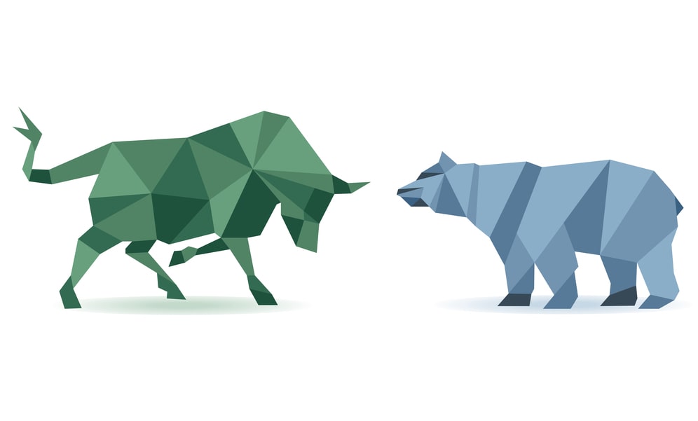 bull vs bear